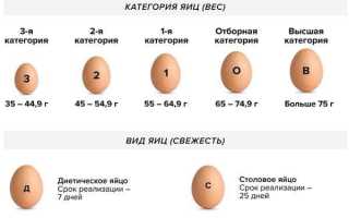 Чем отличается С1 от С0: как расшифровывать маркировку и купить качественные столовые и диетические яйца  