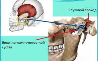 Челюстно-подъязычная линия нижней челюсти