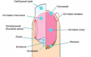 Вросший ноготь и удаление ногтевой пластины