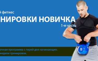 Программа тренировок в гиревом спорте для начинающих атлетов