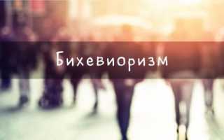 Психология — направления, история, описание, области применения