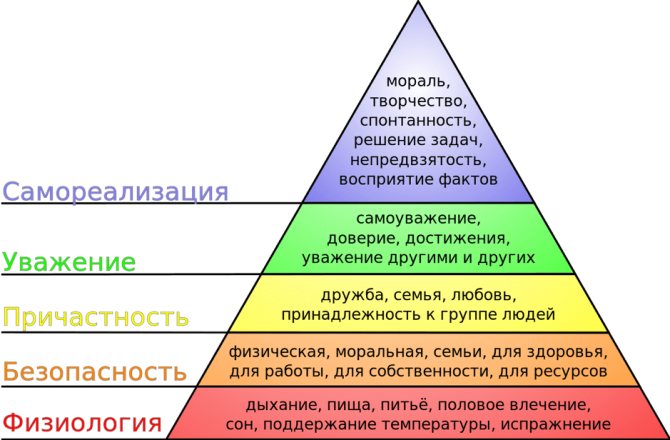 как найти своё призвание и предназначение в жизни?