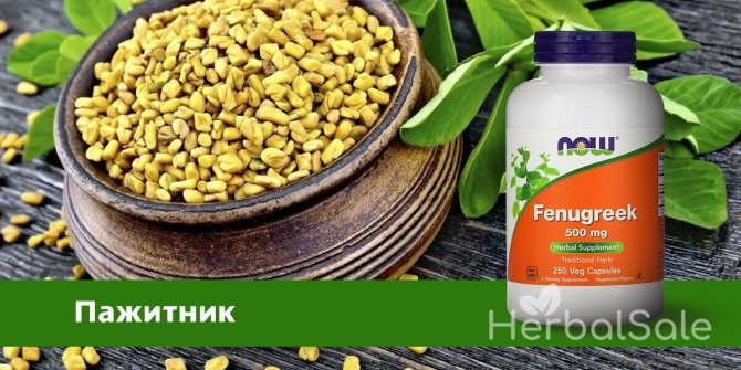 пажитник свойства iHerb