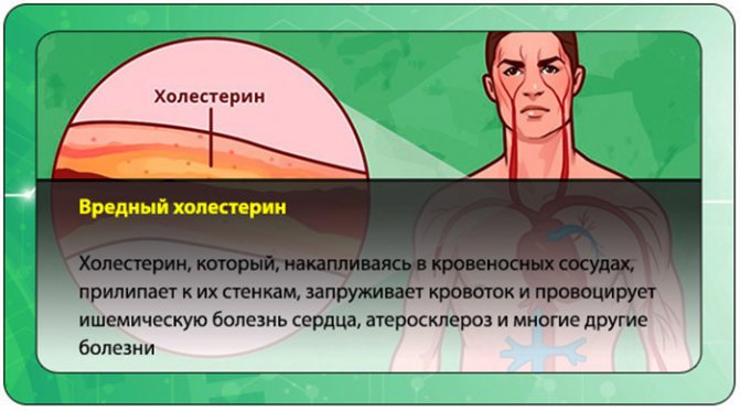 Рожковый сироп из Турции. Применение, полезные свойства, как принимать
