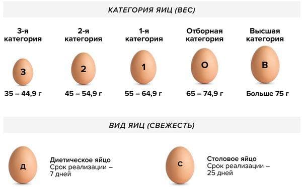 Столовые яйца, отличия