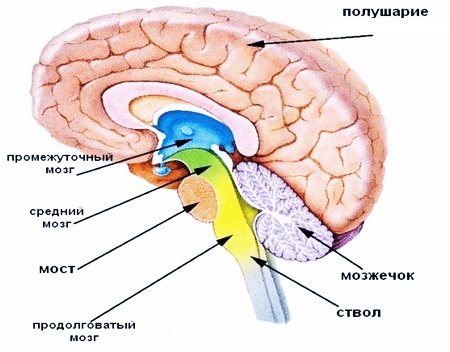 Структура