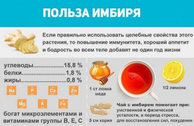Свойства имбиря